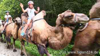 Angebote werden noch angenommen - Familientag im Freibad kommt zurück - bgland24.de