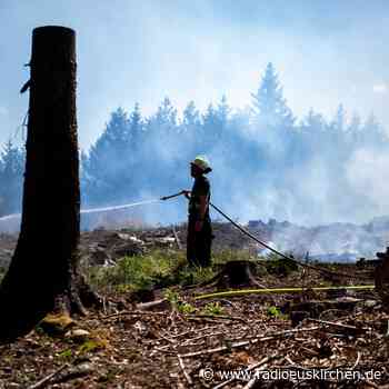 Bilanz nach Waldbrand in Euskirchen-Kirchheim - radioeuskirchen.de