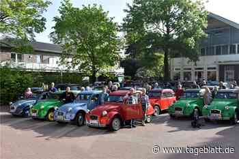 Enten-Korso sorgt für Aufsehen im Landkreis Stade - Landkreis Stade - Tageblatt-online