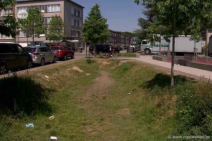 Kopzorgen door tumult en gevechten op Saerensplein