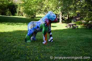 Arrival of bright gorilla hints at new art trail from Durrell - Jersey Evening Post