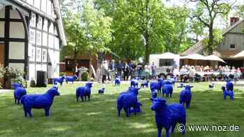 Ein Schaf kommt ins Rathaus: Zeichen für Frieden und Toleranz: Blaue Schafherde am Wöhlehof in Spelle - NOZ