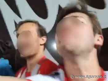 "Scimmie calabresi". È bufera sul tifoso vicentino