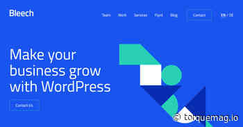 How to Start a WordPress Agency in 2022 (5 Must-Do Steps)