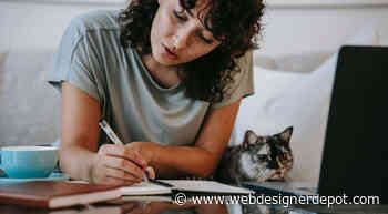 How To Take Your First Steps in Web Design