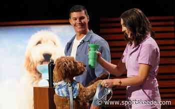 Where to buy Springer Pets products? Shannon and Griffin Ross' set to pitch on Shark Tank Season 13 episode 23 - Sportskeeda