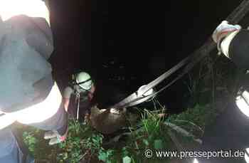 FW Lüchow-Dannenberg: Feuerwehr rettet Schaf aus Schlamm - Presseportal.de