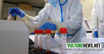 Coronavirus Basilicata, ultimissimo aggiornamento: 372 nuovi positivi di cui 14 a Melfi, 8 a Rionero, 6 a Venosa e 5 a Lavello. Ecco i dati comune per comune - vulturenews.net