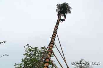 Ärger in Untersteinach - Unbekannte sägen Maibaum um - Nordbayerischer Kurier