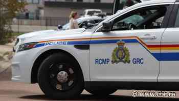 Five taken into custody in high-risk weapons takedown in Dieppe - CBC.ca
