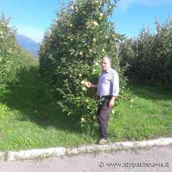 Morte sul lavoro a Cesena, Atripalda in lutto: "dolore per Giuseppe". Il sindaco: «vicini alla famiglia, fare di più per la sicurezza» - Atripalda News