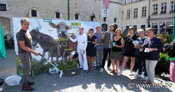 Groen voert statiegeld in op zaterdagmarkt | Mechelen | hln.be - Het Laatste Nieuws