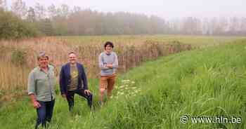 Zes aankopen maken Natuurpark Rivierenland 21,4 hectare groter | Mechelen | hln.be - Het Laatste Nieuws