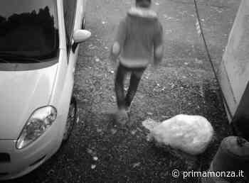 Fototrappole contro gli incivili - Prima Monza