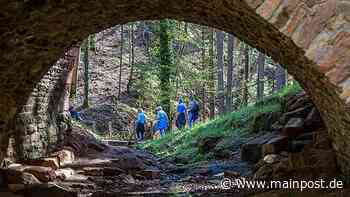 Ausflugstipp in Klingenberg am Main: Auf Wandertour zu "Ton, Steinen und Scherben" - Main-Post