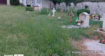 Erba alta al cimitero di San Giovanni Reatino: “Intervenite” - Rieti Life