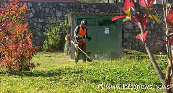 AMBIENTE: MALGRATE E CIVATE, AFFIDATA DA OGGI A SILEA LA CURA DEL VERDE PUBBLICO - Lecconews