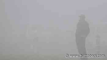 Storie biancorosse, l'arbitro Pezzella e la nebbia di Parma nel 1985 - BARI CALCIO