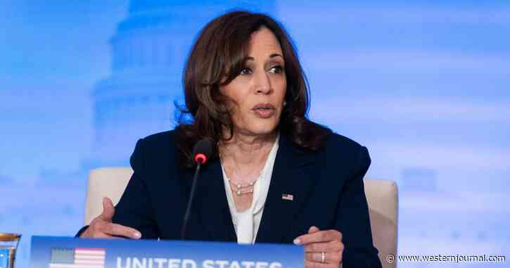 Something Isn't Working with Kamala Harris - She Repeats Same Phrase 4 Times in 30 Seconds