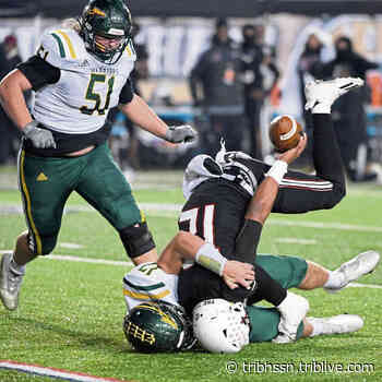 Penn-Trafford football pipeline to Division I just getting started | Trib HSSN - TribLIVE.com