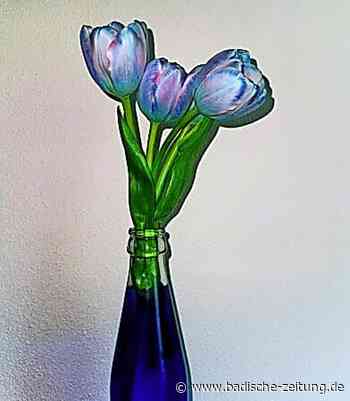 Auch digital macht Forschen Spaß - Herbolzheim - Badische Zeitung