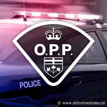 St. Thomas man caught in Komoka with prohibited weapon and cannabis in vehicle - StThomasToday.ca