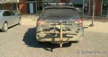 Saskatoon cyclist handed $150 ticket for bike rack on rear of vehicle