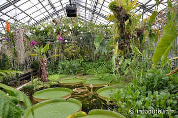 Nancy : journée internationale des plantes le 21 mai au Jardin botanique Jean-Marie Pelt - Infodujour.fr