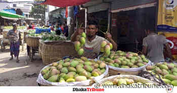 100 tons of mangoes from Satkhira to be exported to Europe - Dhaka Tribune