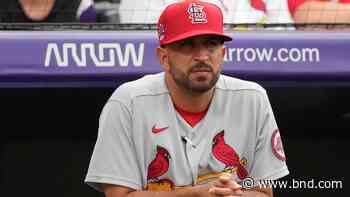 Unfortunate circumstances give Cardinals newbies a chance to mark their own territory - Belleville News-Democrat