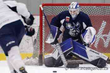Moose right back at square one ahead of Game 4 - Belleville Intelligencer