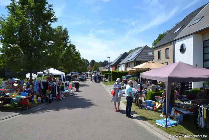 Veel inschrijvingen voor zonovergoten rommelmarkt
