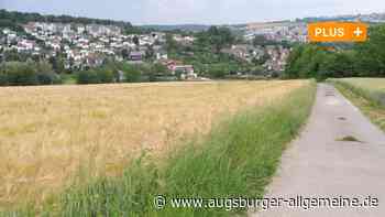 Ulm/Neu-Ulm: Neue Straßenbahnlinie bis zur Kohlplatte nur mit Verlängerung nach Neu-Ulm? | Neu-Ulmer Zeitung - Augsburger Allgemeine