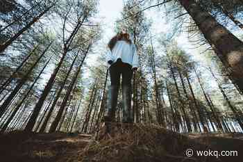 Forest Bathing - What is It and Why is It Good for You? - wokq.com