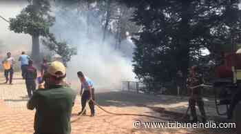 Forest fire at Air Force Station in Kasauli leaves four injured - The Tribune India