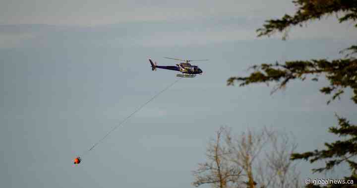 2 forest fires in N.S. now contained and being monitored, officials say - Global News