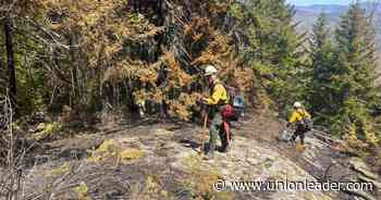 It's still true: You can prevent forest fires - The Union Leader