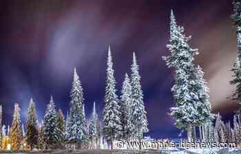 Outdoors backcountry workshops for women in Maple Ridge forest – Maple Ridge News - Maple Ridge News