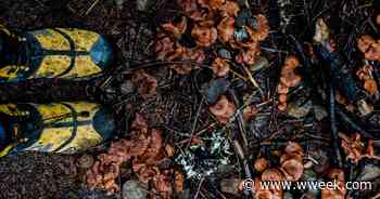 The Oregon Forest Is for Everybody, Not Just Stereotypes - Willamette Week