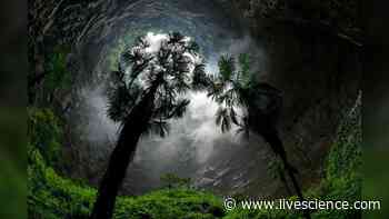 Giant sinkhole with a forest inside found in China - Livescience.com