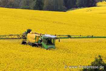 Mehr Raps gegen leere Händlerregale? - freiepresse.de