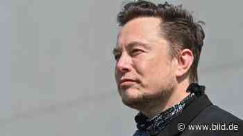 Twitter-Anwälte werfen Elon Musk Geheimnisverrat vor - Wirtschaft - Bild.de - BILD