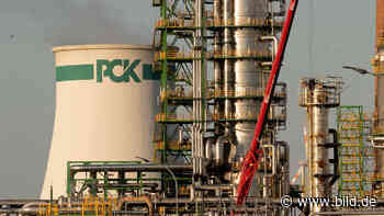 Brandenburgs Wirtschaft ächzt unter dem Ukraine-Krieg | Regional - BILD