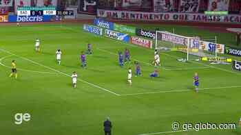 São Paulo acelera renovações de crias de Cotia para evitar novos "casos Marquinhos" - Globo