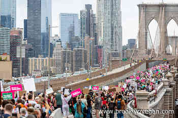 Thousands marched for abortion rights in NYC (pics)
