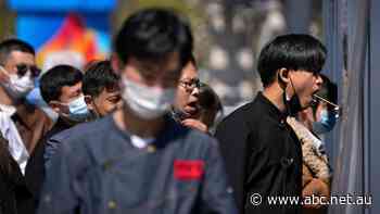 China's economy slumps from COVID-19 lockdowns, ASX rises as Brambles considers $20b takeover bid