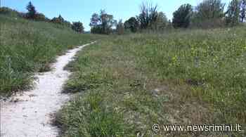 Tentata violenza al parco Marecchia: c'è un fermo di polizia • newsrimini.it - News Rimini