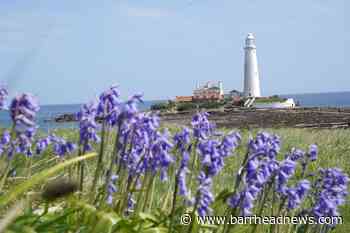 Sunny Saturday could see top temperature of 24C - Barrhead News