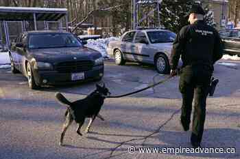 K-9 featured in Netflix's 'Rescued by Ruby' euthanized - Virden Empire Advance