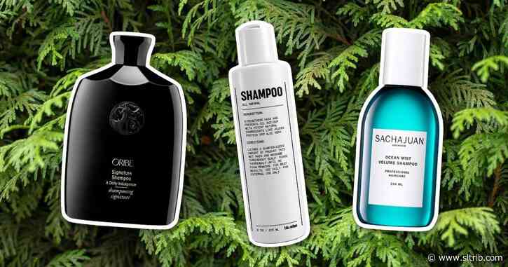 17 Best smelling shampoos for men in 2022